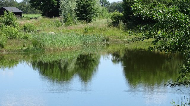 Singels en Essen wandeltocht (zondag  9 juni 2019)
